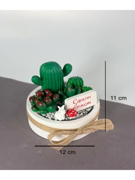 Canım Annem Beton Kaktüs Sukulent Teraryum Mini Garden-823-Small