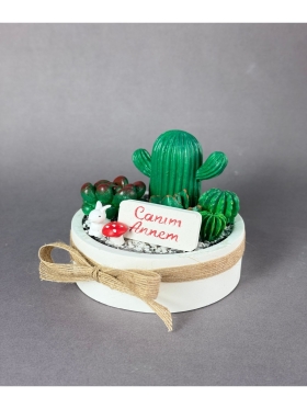 Canım Annem Beton Kaktüs Sukulent Teraryum Mini Garden-824-Small