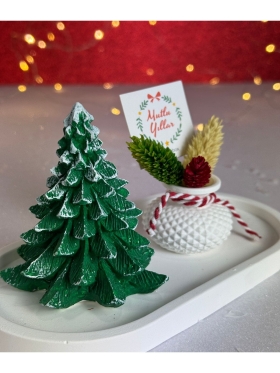 Yılbaşı Çam Ağacı ve Mini Saksı Biblo Seti-677-Small